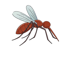 Mosquito