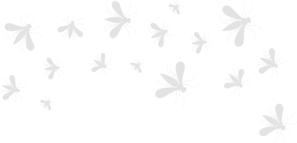 swarm of mosquitoes