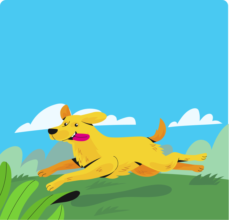 Protect your pets from mosquitoes