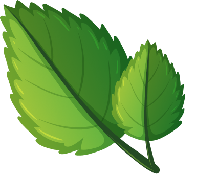 Leaf