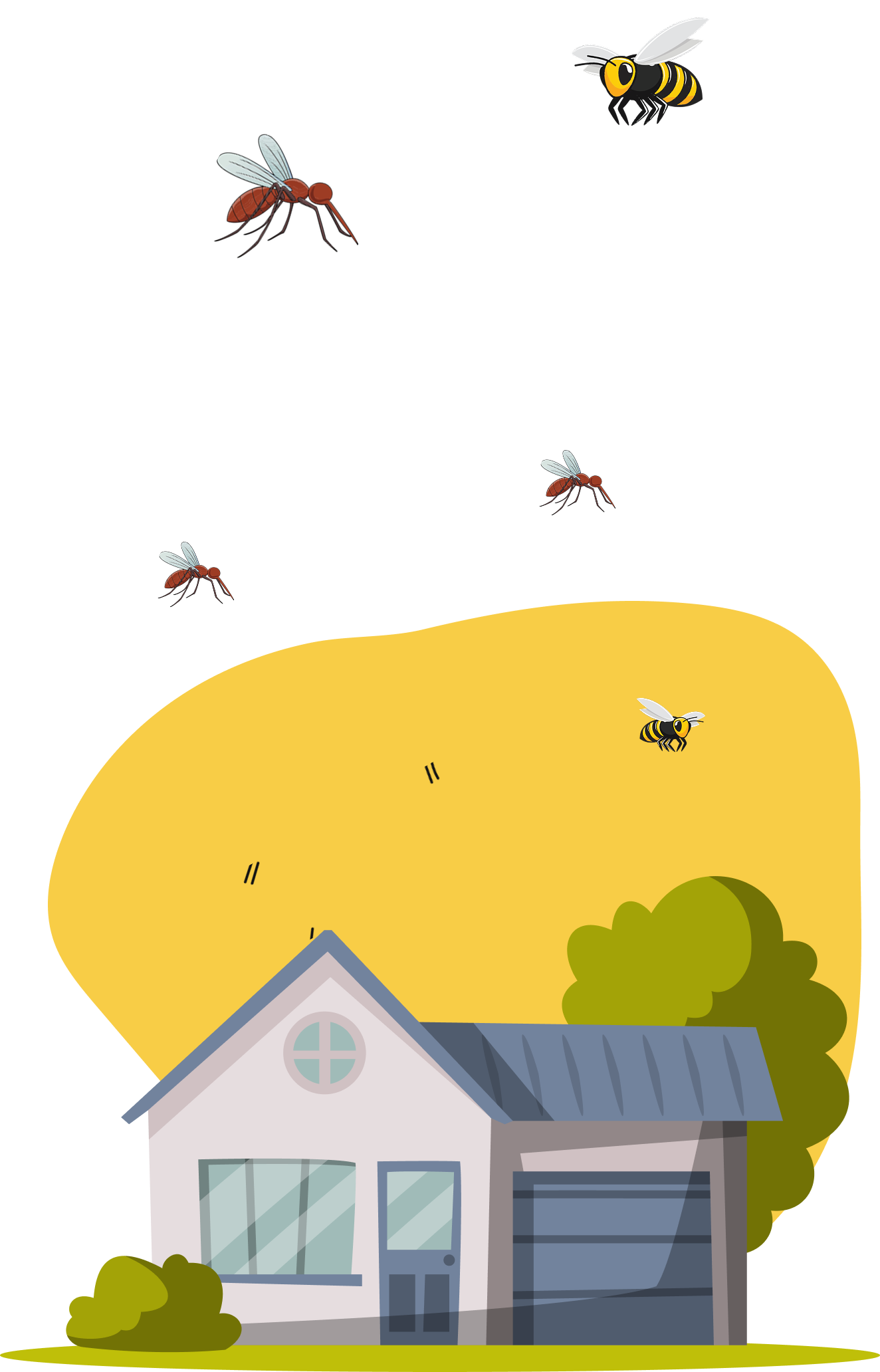 Pest control house with comprehensive services