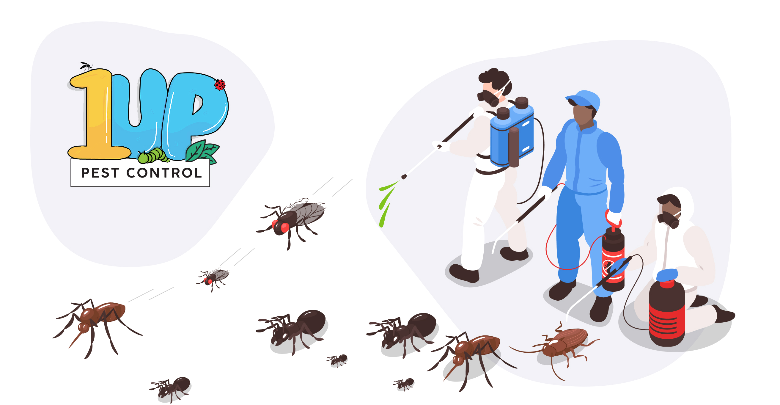 Ants