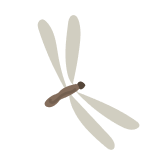 Termite