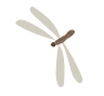 Termite