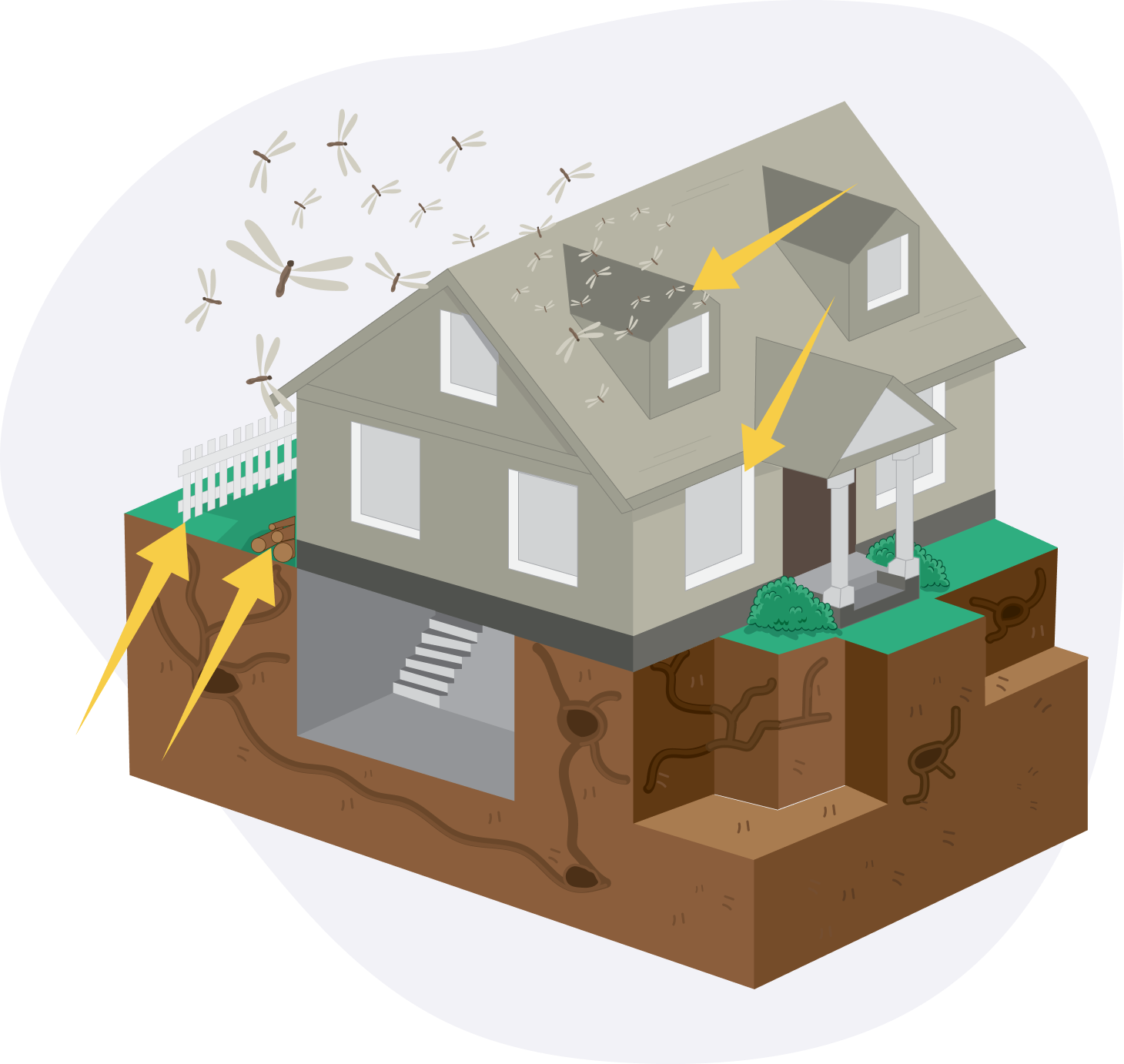 Effective termite control cartoon