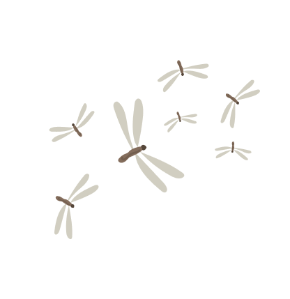 termite swarm